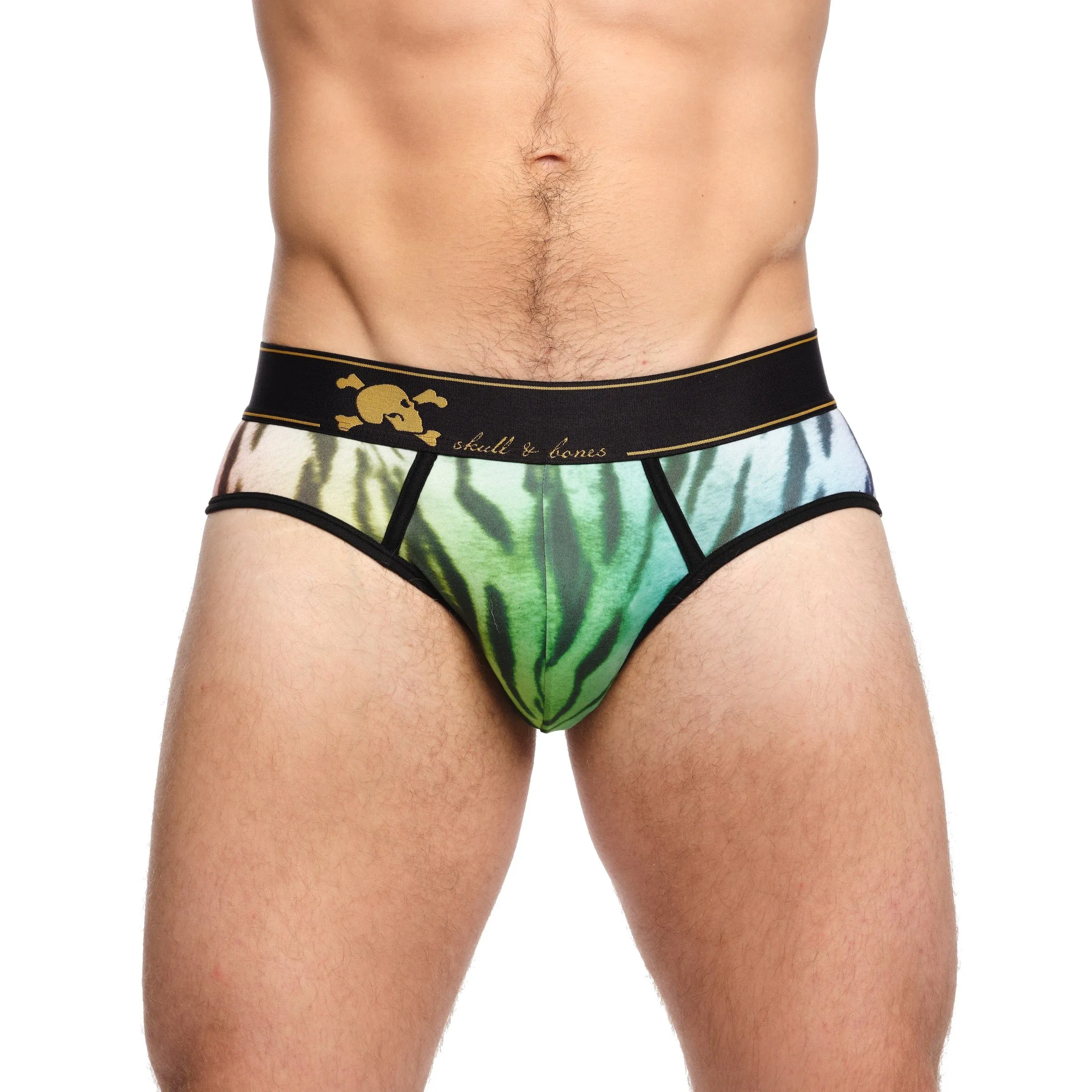 Rainbow Tiger Ombre Brief