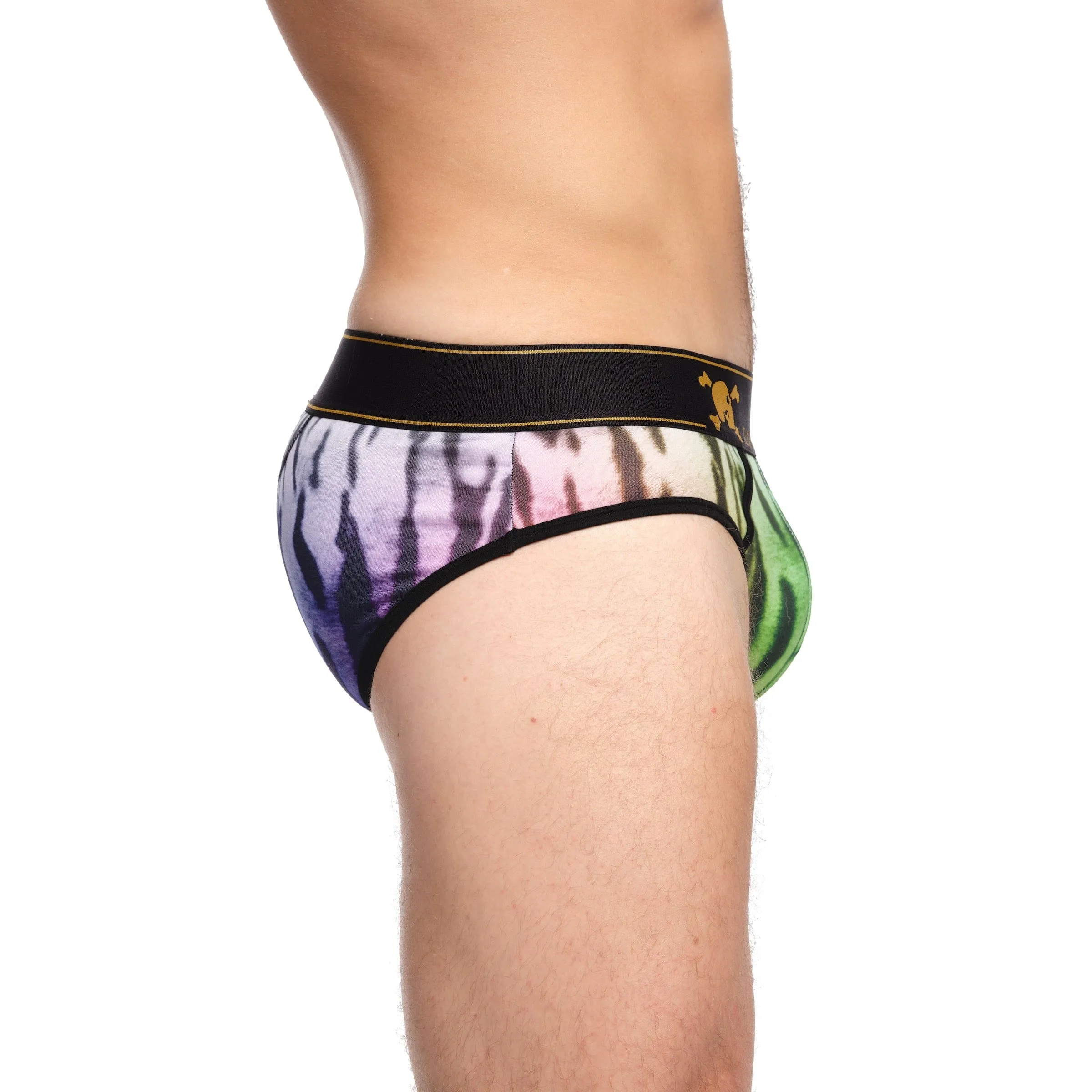 Rainbow Tiger Ombre Brief