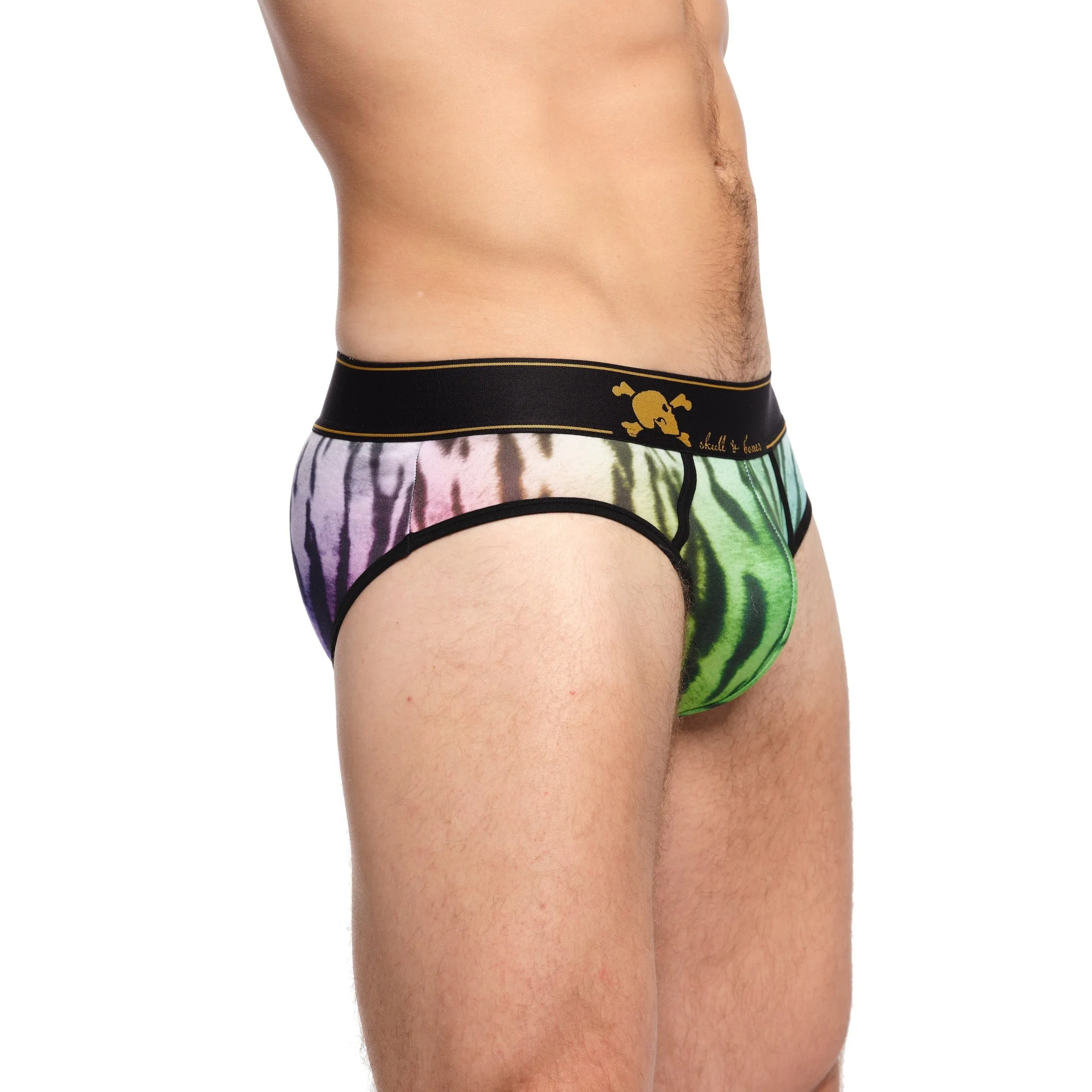 Rainbow Tiger Ombre Brief