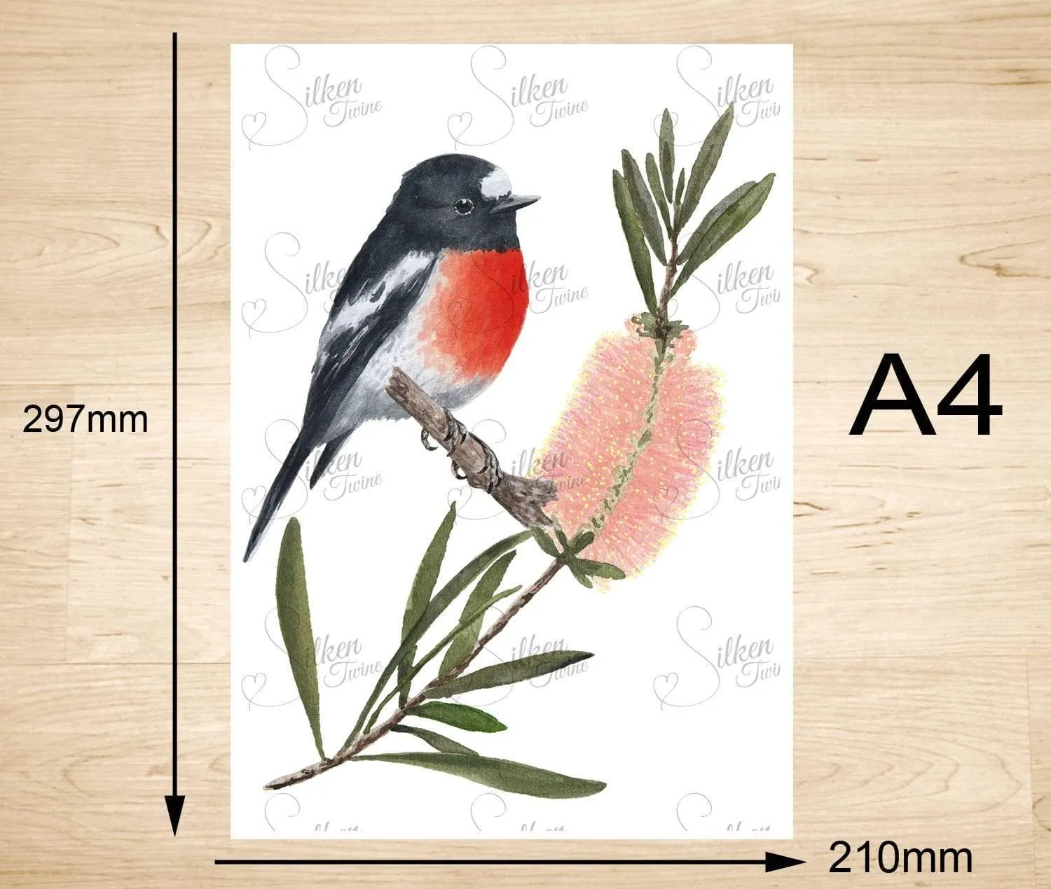 Scarlet Robin Art Print Right